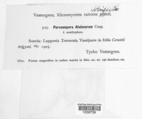 Image Associated With the Occurence